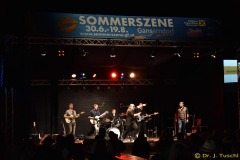 Bild-42