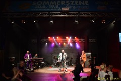 Bild-81