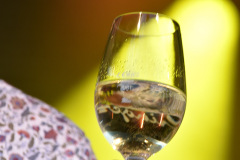 SSZ25_Fotos_20250704__c_-J-Tuschl_33_